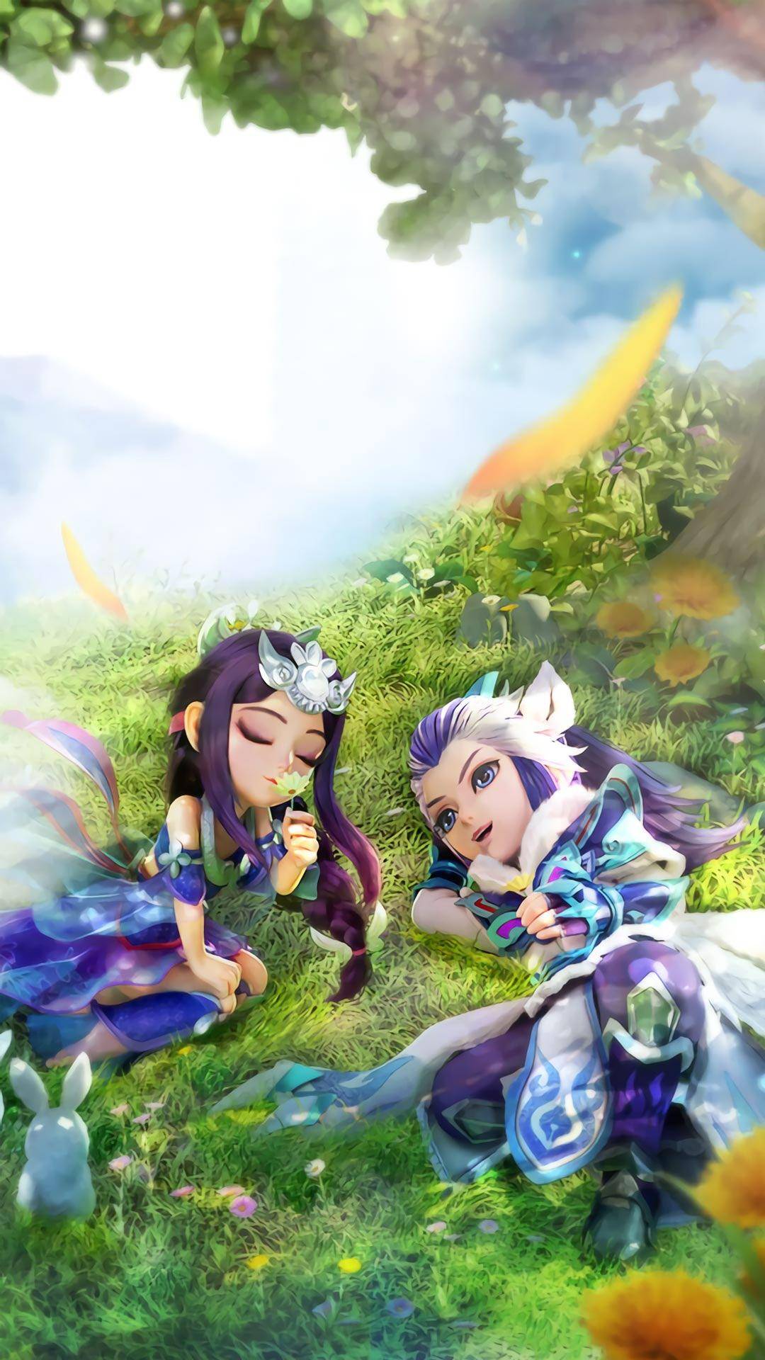 的规则和程 的规则和程